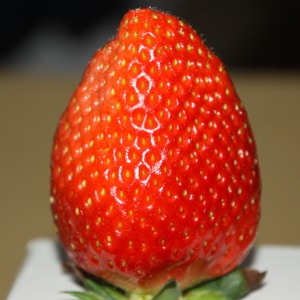 봉화 딸기